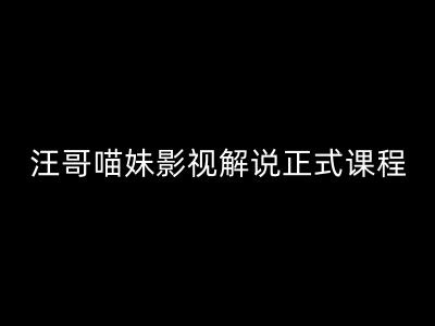 汪哥影视解说正式课程：剪映/PR教学/视解说剪辑5大黄金法则/全流程剪辑7把利器等等-逐光创享汇