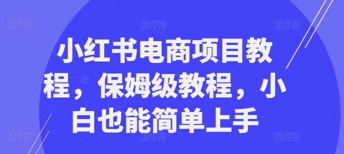 小红书电商项目教程，保姆级教程，小白也能简单上手-逐光创享汇