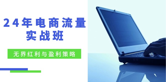 24年电商流量实战班：无界 红利与盈利策略，终极提升/关键词优化/精准…-逐光创享汇