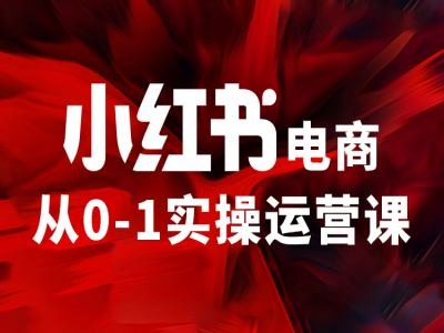 小红书电商从0-1实操运营课，让你从小白到精英-逐光创享汇