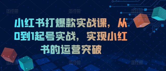 小红书打爆款实战课，从0到1起号实战，实现小红书的运营突破-逐光创享汇