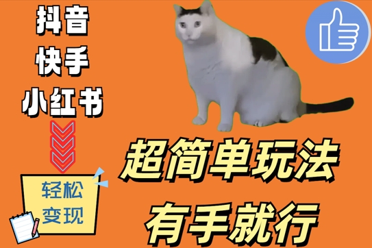 超简单玩法，有手就行，靠猫咪视频日入500+【揭秘】-逐光创享汇