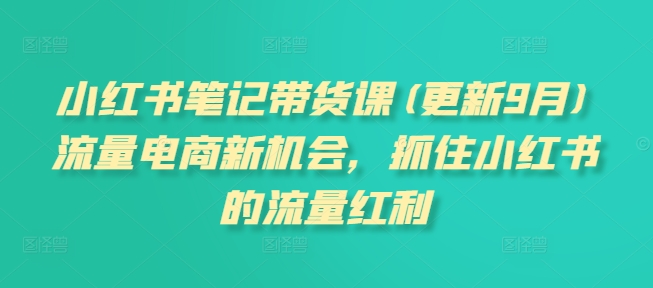 小红书笔记带货课(更新9月)流量电商新机会，抓住小红书的流量红利-逐光创享汇