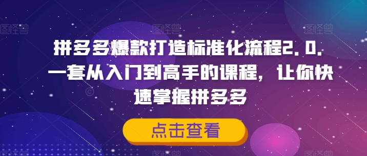 拼多多爆款打造标准化流程2.0，一套从入门到高手的课程，让你快速掌握拼多多-逐光创享汇