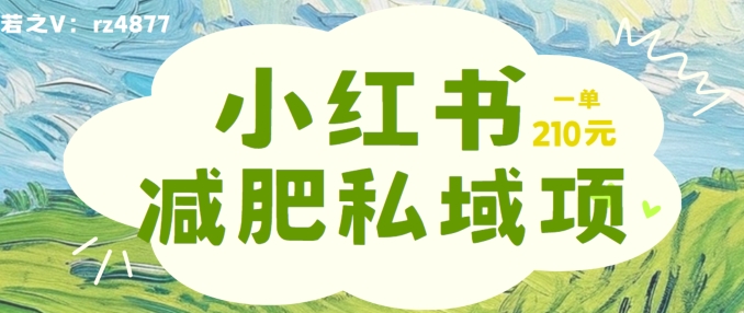 小红书减肥粉，私域变现项目，一单就达210元，小白也能轻松上手【揭秘】-逐光创享汇