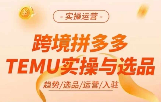 跨境拼多多TEMU实操与选品，多多temu跨境选品运营实操-逐光创享汇