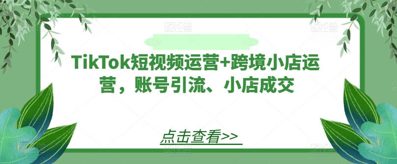 TikTok短视频运营+跨境小店运营，账号引流、小店成交-逐光创享汇