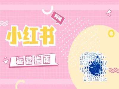 小红书运营指南，没有套路，全是经验-逐光创享汇