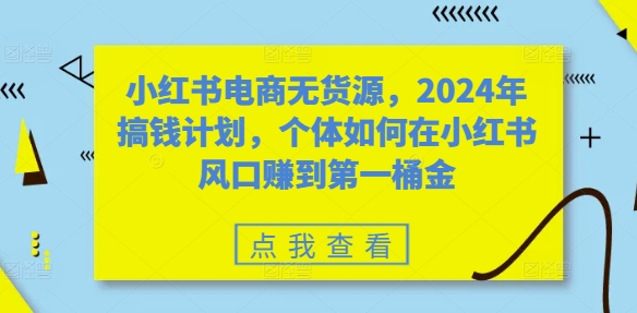 小红书电商无货源，2024年搞钱计划，个体如何在小红书风口赚到第一桶金-逐光创享汇