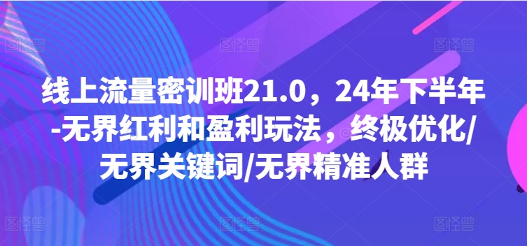 线上流量密训班21.0，24年下半年-无界红利和盈利玩法，终极优化/无界关键词/无界精准人群-逐光创享汇