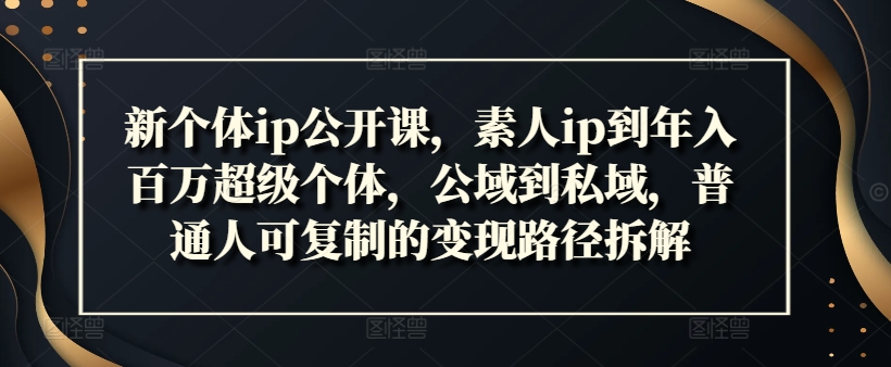 新个体ip公开课，素人ip到年入百万超级个体，公域到私域，普通人可复制的变现路径拆解-逐光创享汇