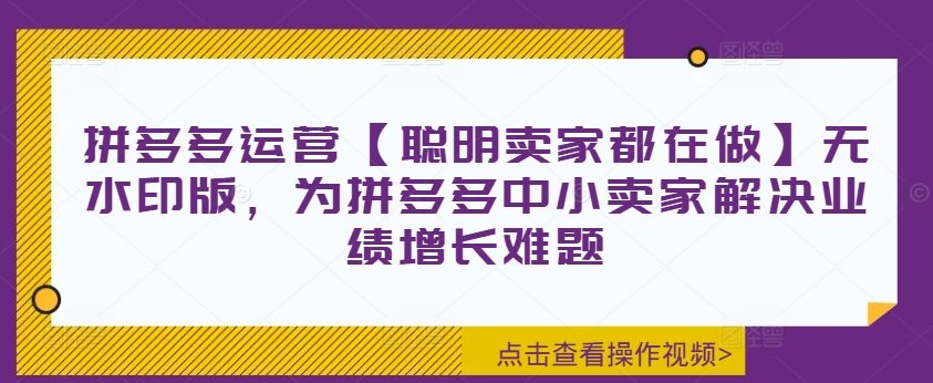 拼多多运营【聪明卖家都在做】无水印版，为拼多多中小卖家解决业绩增长难题-逐光创享汇