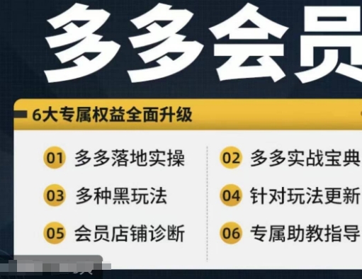 拼多多会员，拼多多实战宝典+实战落地实操，从新手到高阶内容全面覆盖-逐光创享汇