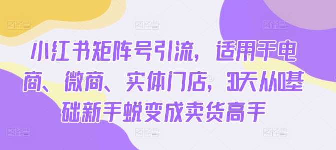 小红书矩阵号引流，适用于电商、微商、实体门店，30天从0基础新手蜕变成卖货高手-逐光创享汇