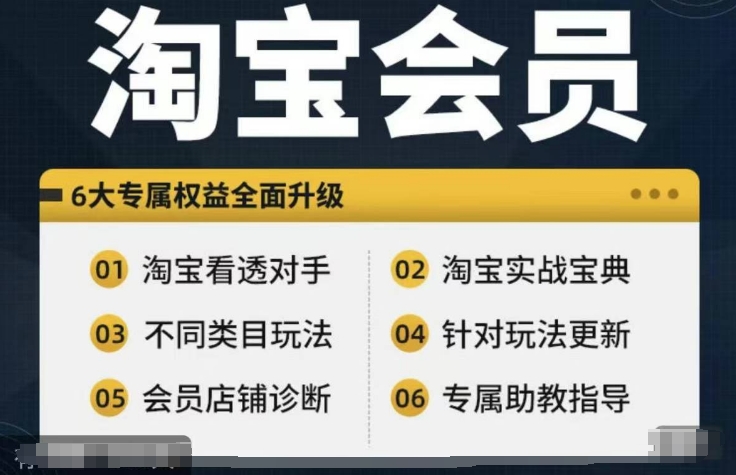 淘宝会员【淘宝所有课程，全面分析对手】，初级到高手全系实战宝典-逐光创享汇