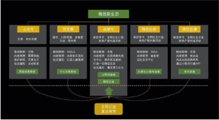 视频号1小时涨100粉经验，人人都能复制-逐光创享汇