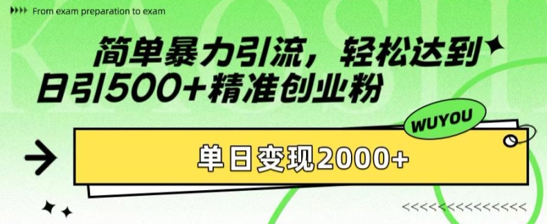 简单暴力引流，轻松达到日引500+精准创业粉，单日变现2k【揭秘】-逐光创享汇